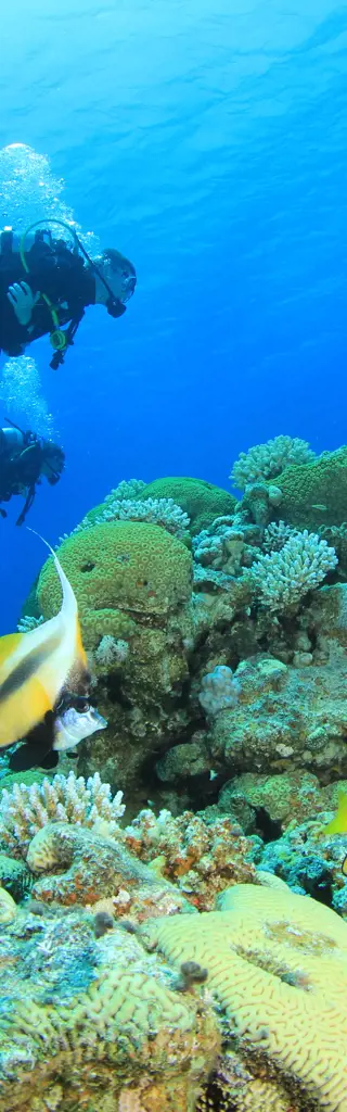 Tauchreisen Thailand
